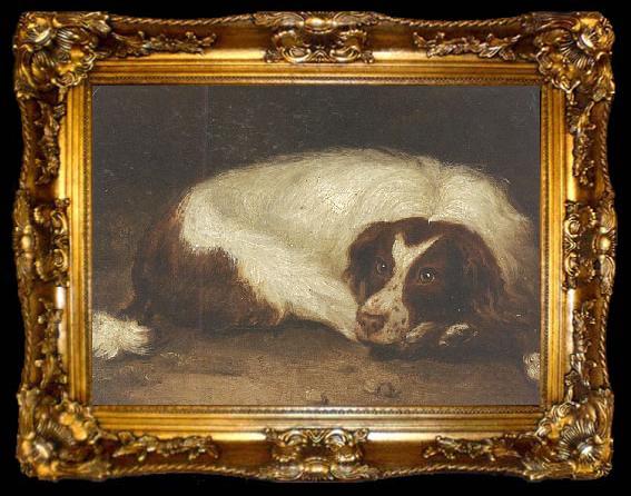 framed  Johann Christoph Rincklake A sporting dog lying down, ta009-2